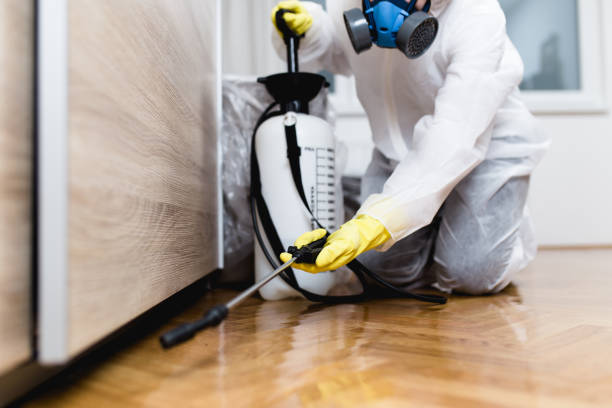 Best Ant Control Services  in Pioneer, CA
