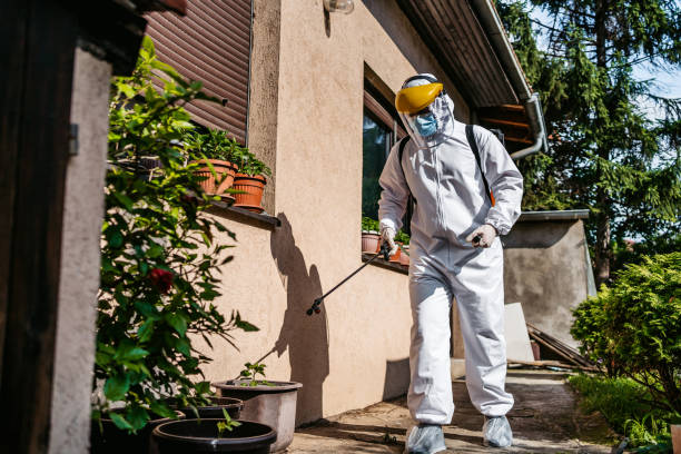 Best Cockroach Control Services  in Pioneer, CA