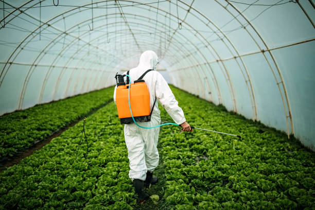 Best Residential Pest Control  in Pioneer, CA