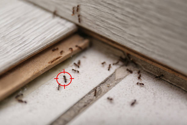 Pioneer, CA Pest Control Company