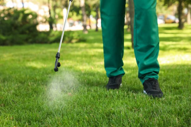 Best Emergency Pest Control  in Pioneer, CA