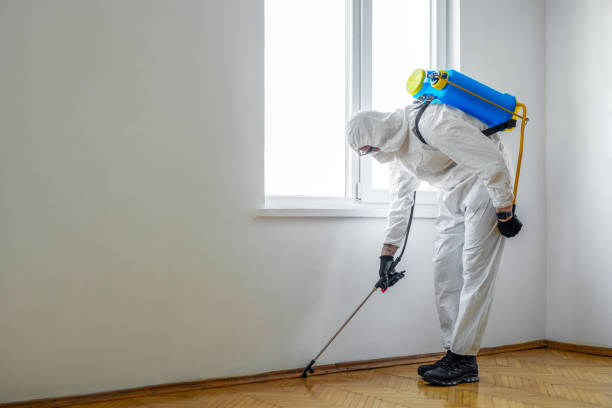 Best Rat Extermination Near Me  in Pioneer, CA