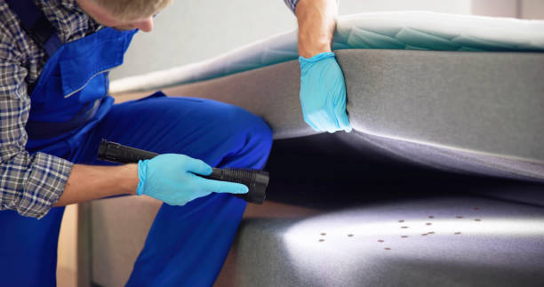 Best Pest Inspection Near Me  in Pioneer, CA