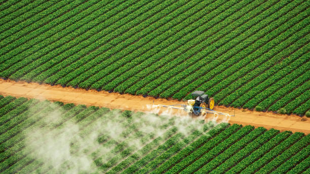 Best Pest Removal Services  in Pioneer, CA