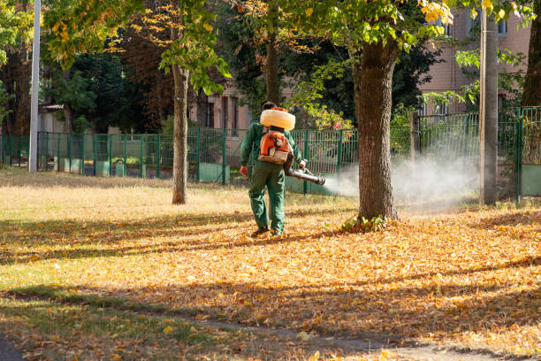 Best Pest Removal Services  in Pioneer, CA